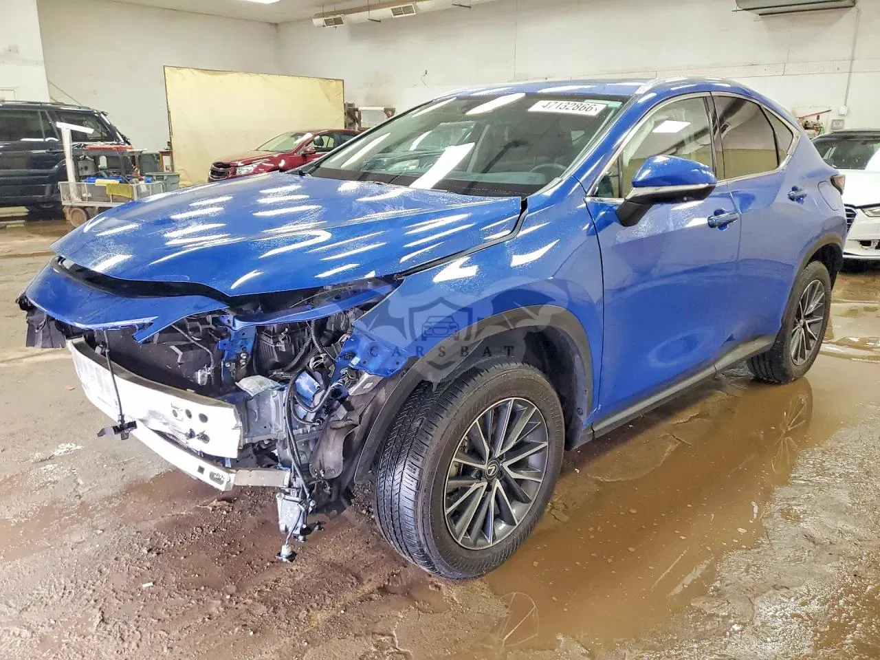 Lexus NX 2.4L 4 2025
