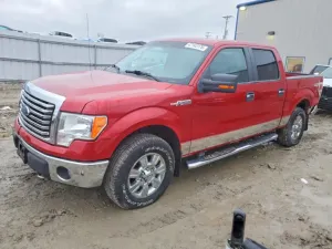 Ford F-150 4.6L 8 2010