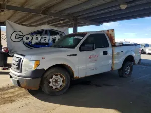 Ford F-150 4.6L 8 2010