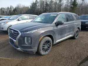 Hyundai Palisade 3.8L 6 2020