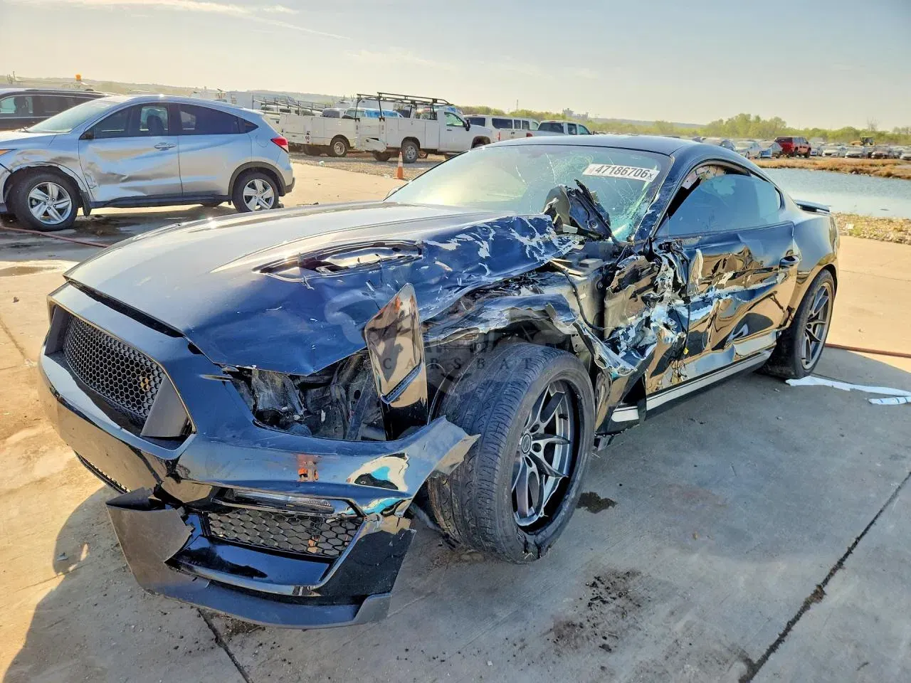 Ford Mustang 5.0L 8 2016