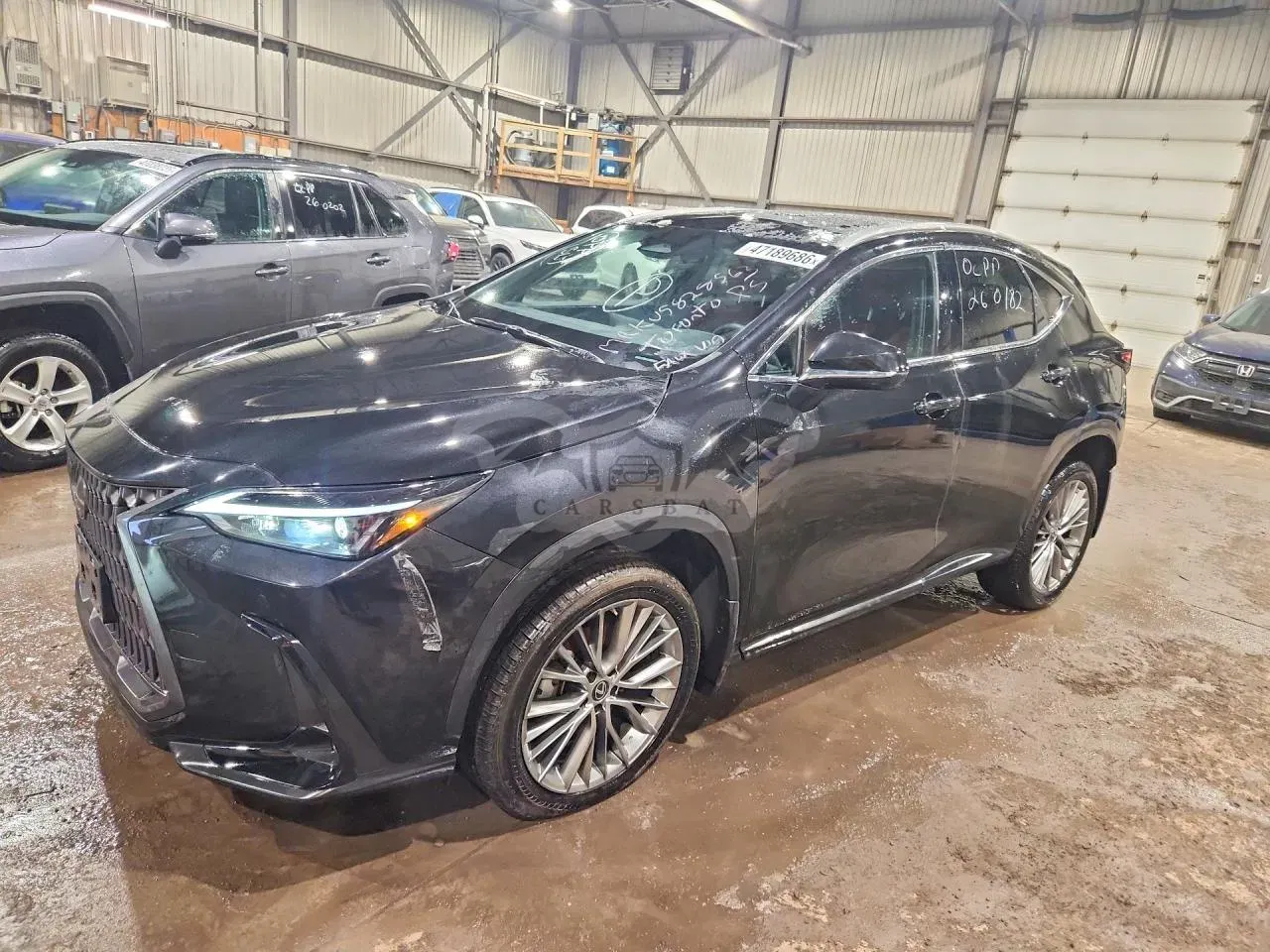 Lexus NX 2.4L 4 2023