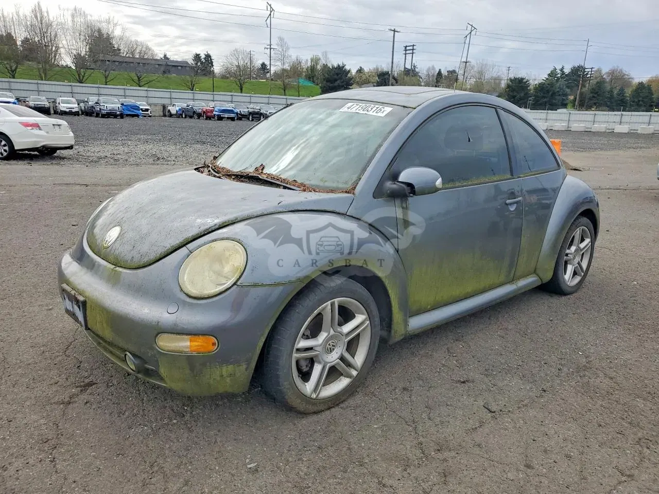 Volkswagen Beetle 1.8L 4 2005