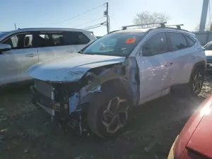 Hyundai Tucson 2.5L 4 2024