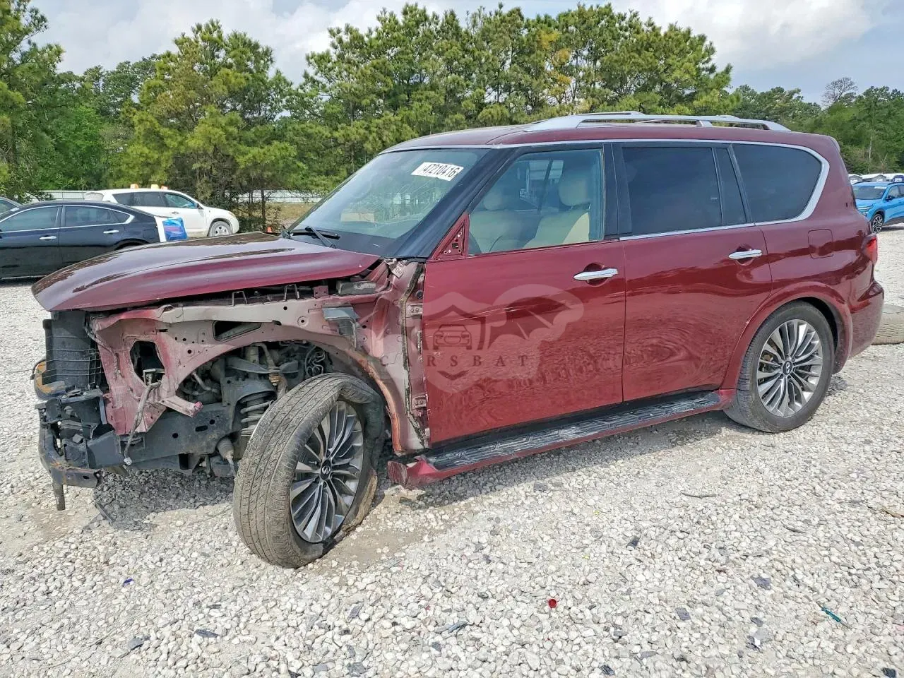 Infiniti QX80 5.6L 8 2021