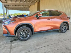 Lexus NX 2.4L 4 2026