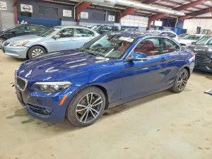BMW 2 Series 2.0L 4 2018
