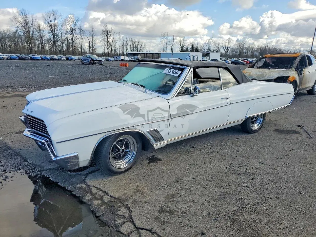 Buick Skylark 1967