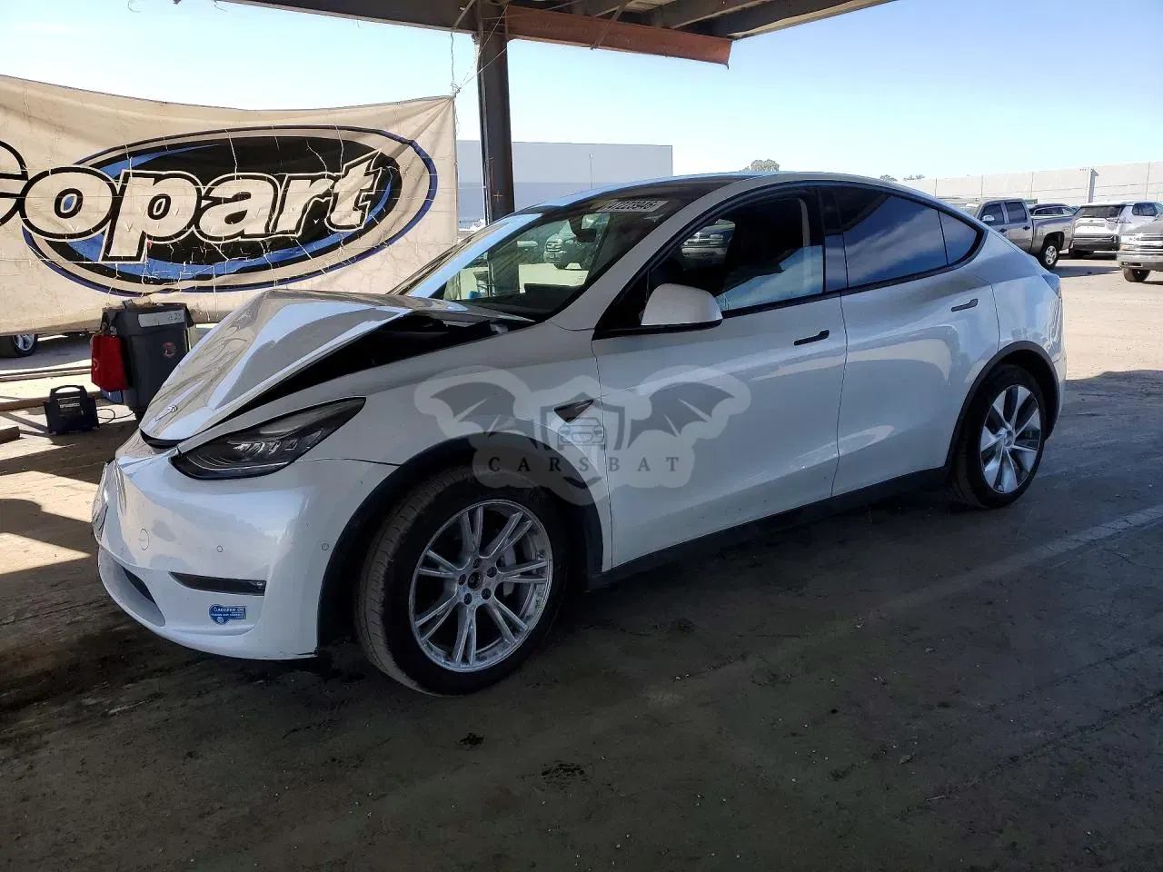 Tesla Model Y 2021