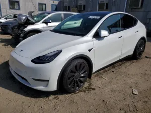 Tesla Model Y 2020