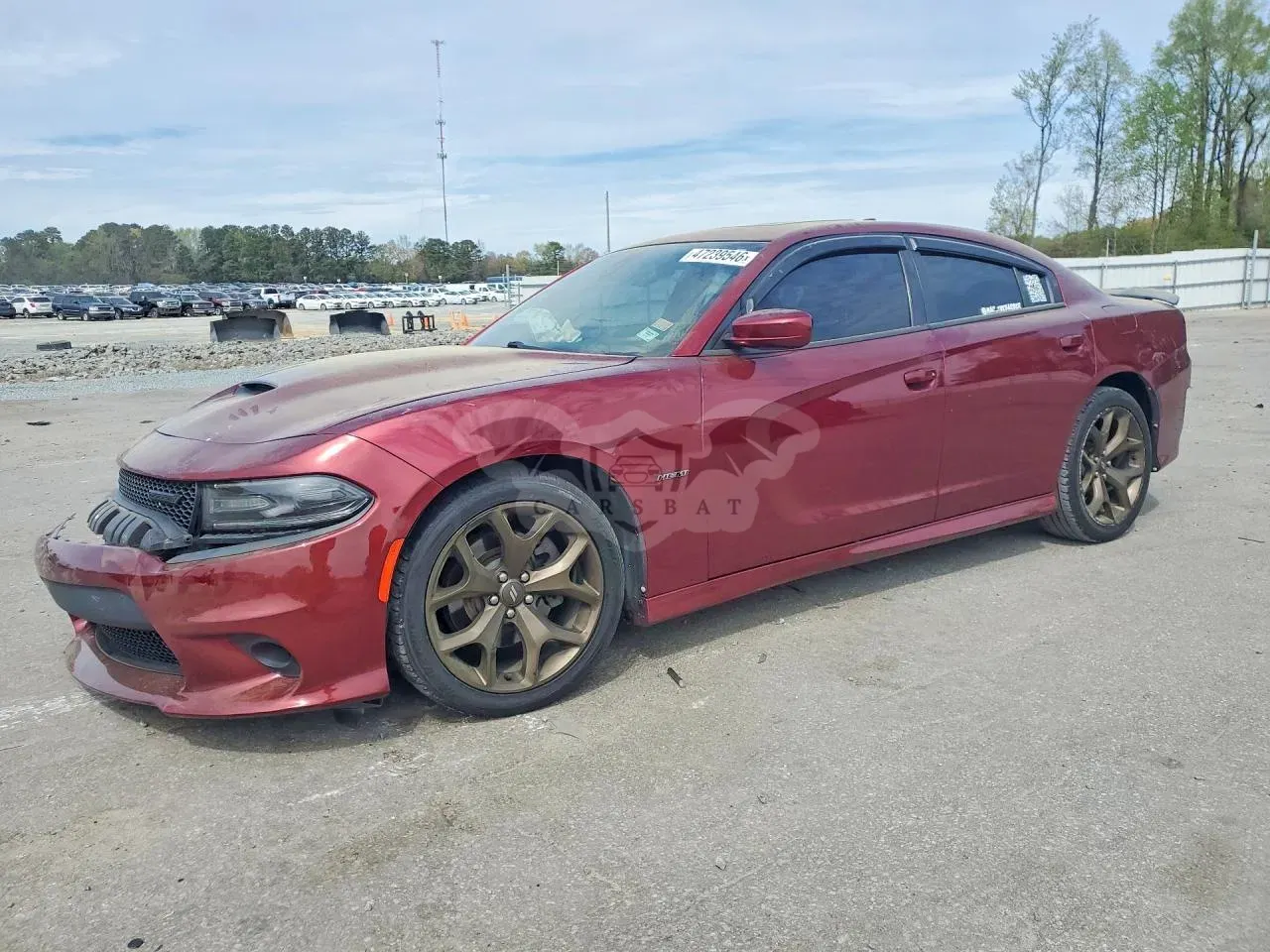 Dodge Charger 5.7L 8 2019