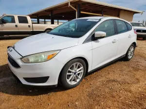 Ford Focus 2.0L 4 2017