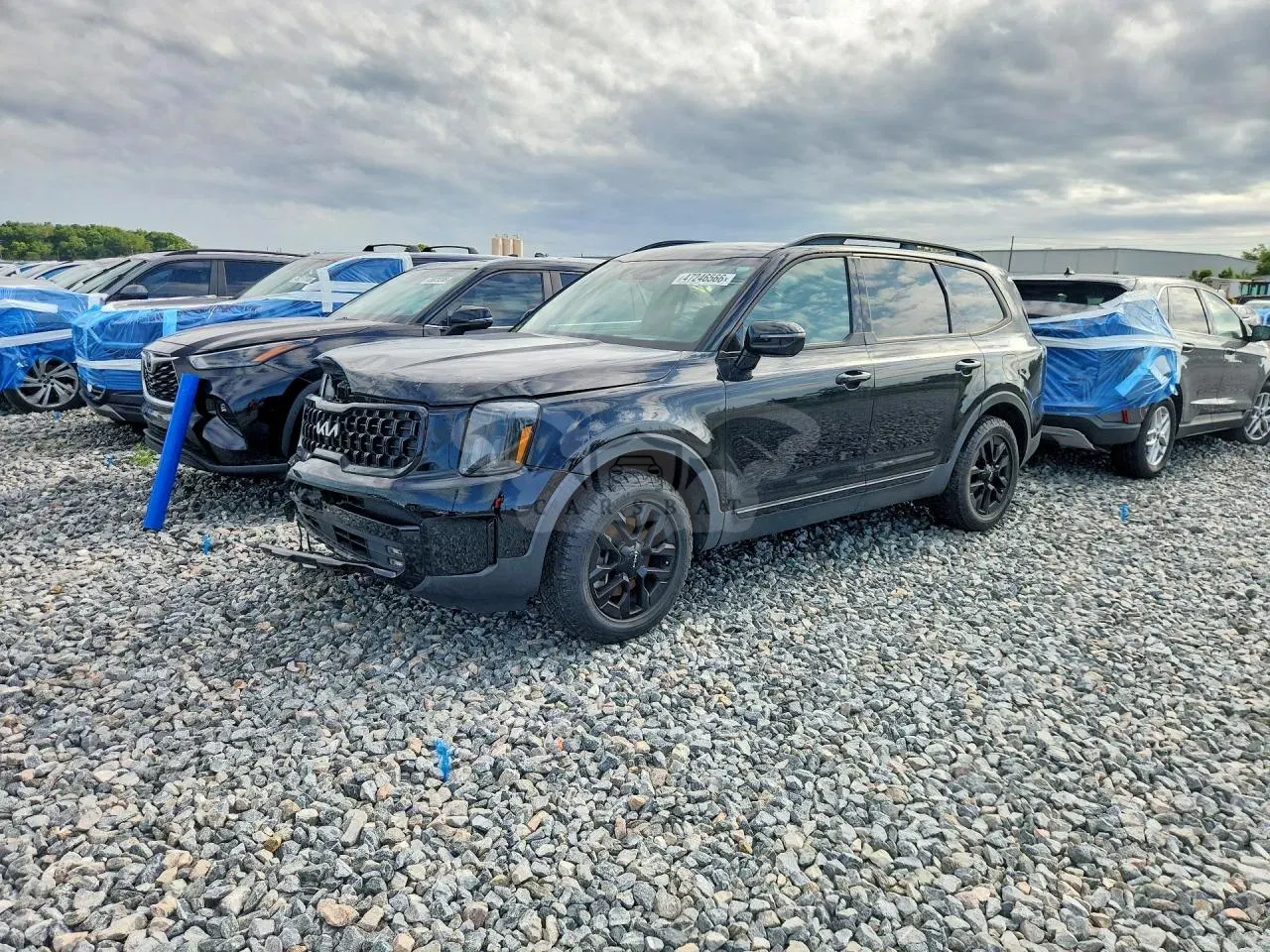 Kia Telluride 3.8L 6 2024
