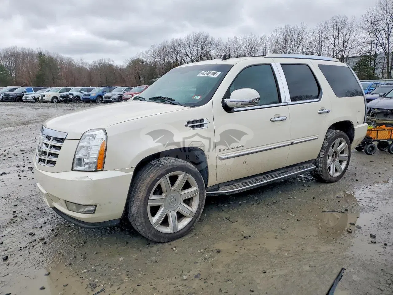 Cadillac Escalade 6.2L 8 2008