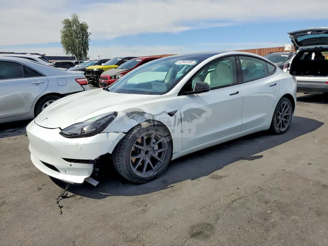 Tesla Model 3 2021