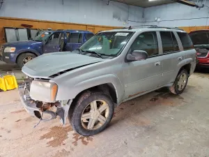 Chevrolet Trailblazer 4.2L 6 2008