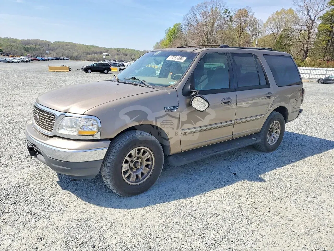 Ford Expedition 4.6L 8 2002