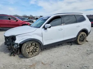 Kia Telluride 3.8L 6 2021