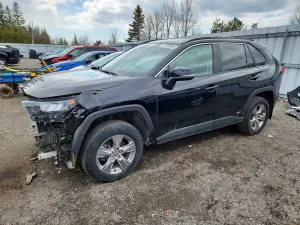 Toyota Rav4 2.5L 4 2024