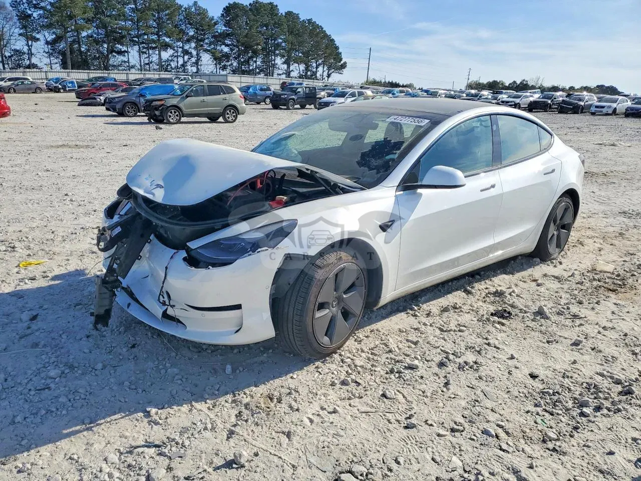 Tesla Model 3 2021