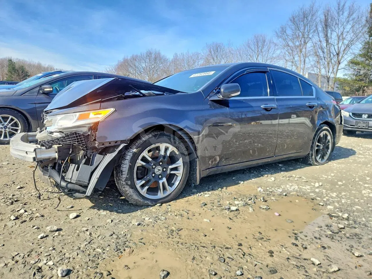 Acura TL 3.7L 6 2009
