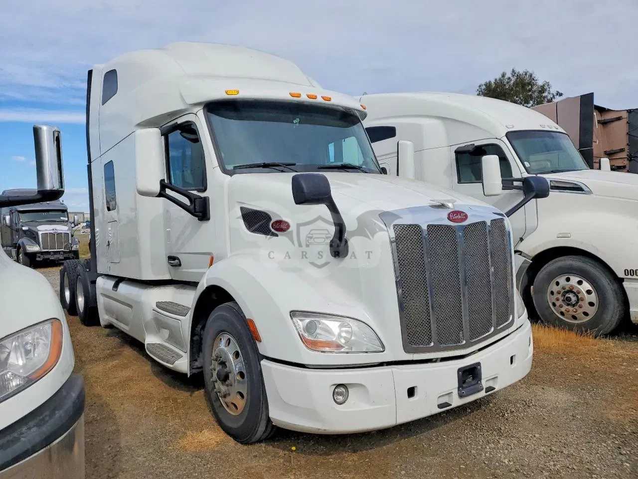 Peterbilt 567/579/587 2019