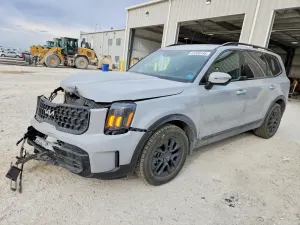 Kia Telluride 3.8L 6 2024