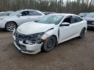 Honda Civic 2.0L 4 2019