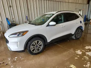 Ford Escape 1.5L 3 2020