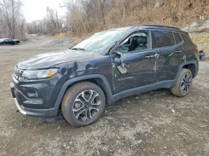 Jeep Compass 2.0L 4 2024