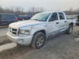 Dodge Dakota 3.7L 6 2011