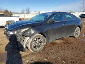 Kia Cerato / Forte / K3 2.0L 4 2022