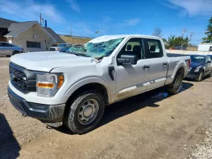 Ford F-150 5.0L 8 2021