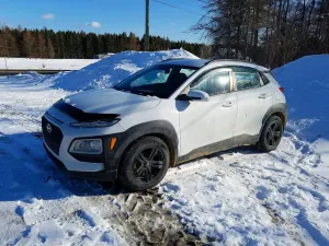 Hyundai Kona 2.0L 4 2020