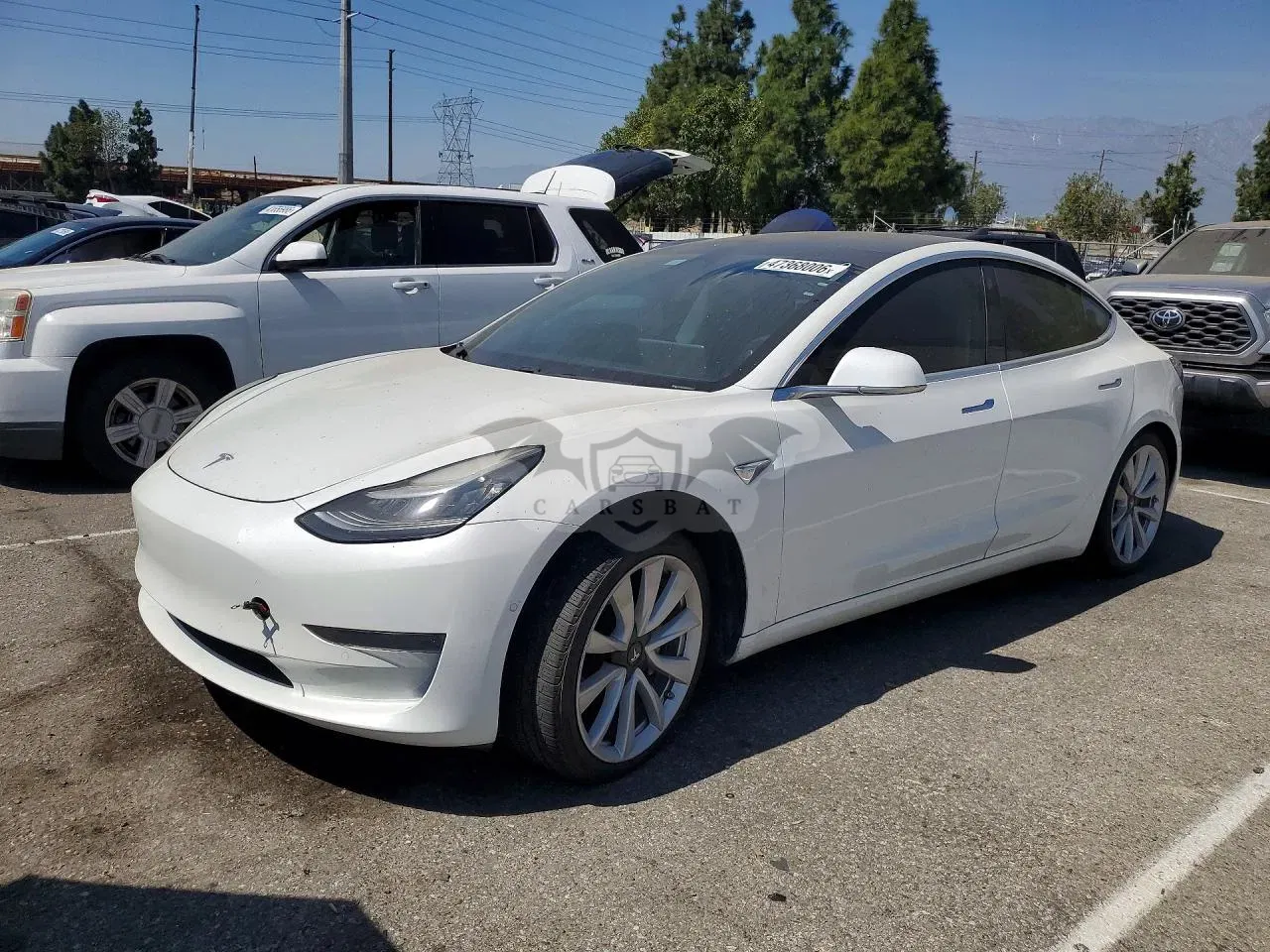 Tesla Model 3 2019