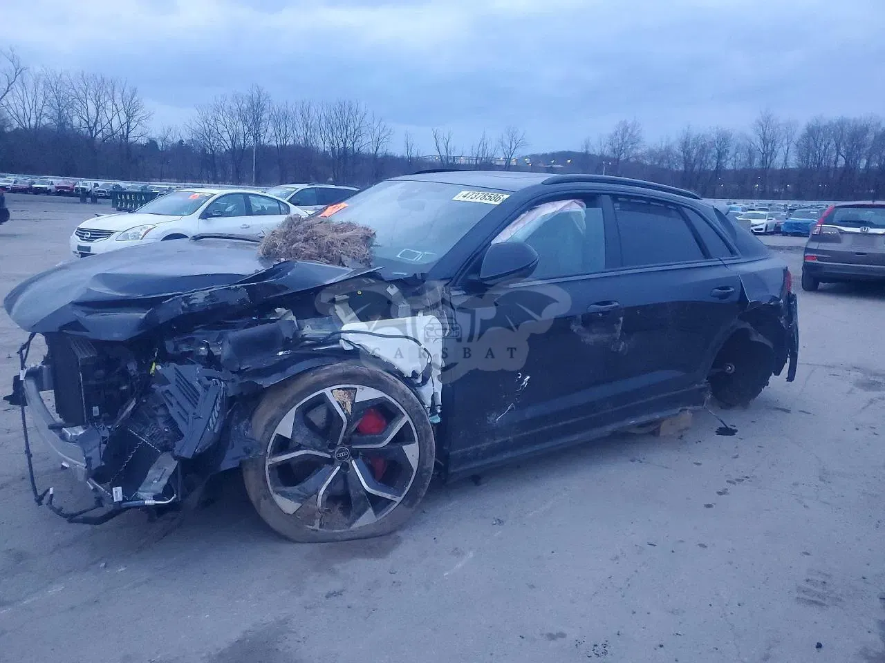 Audi RSQ8 4.0L 8 2023