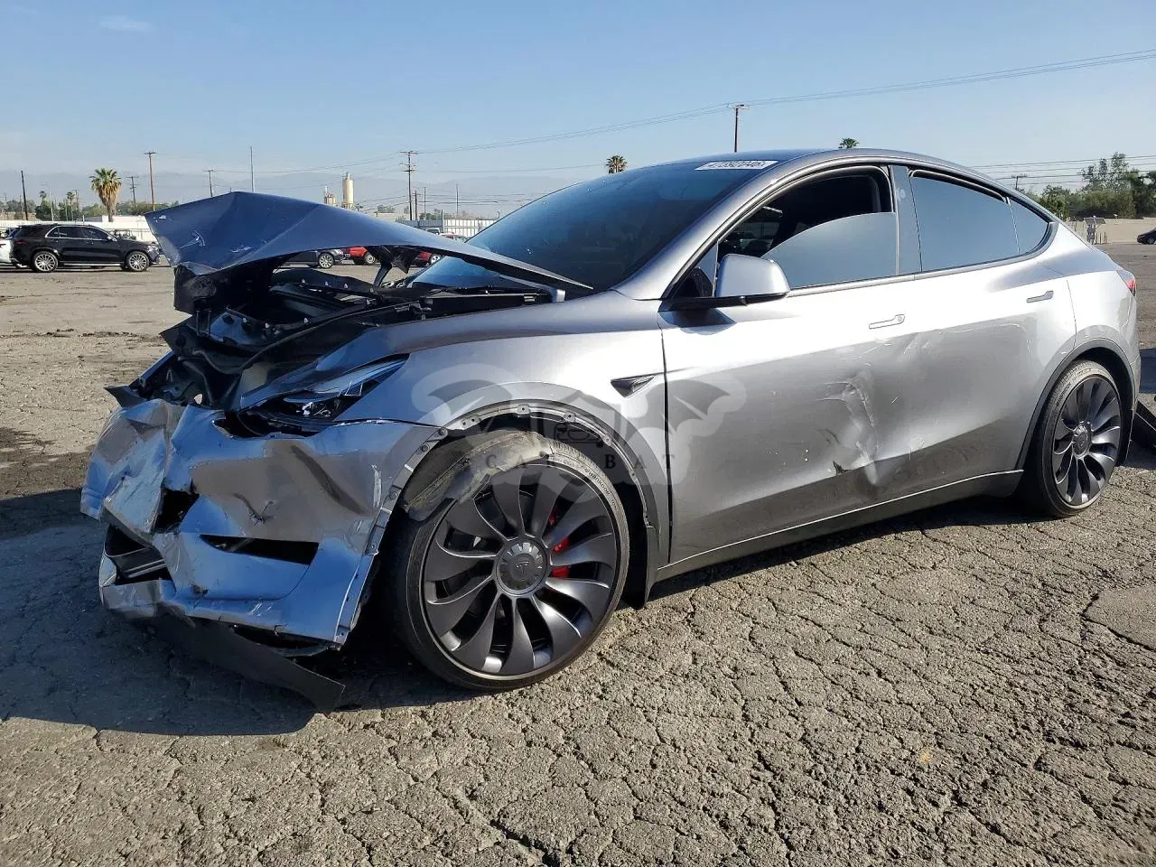 Tesla Model Y 2024