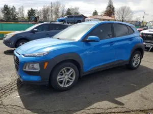 Hyundai Kona 2.0L 4 2019