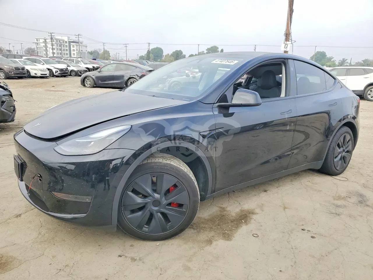 Tesla Model Y 2024
