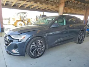 Audi Q8 e-tron 2024