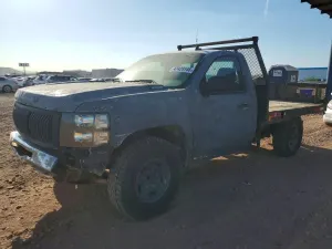 Chevrolet Silverado 1500 6.0L 8 2009