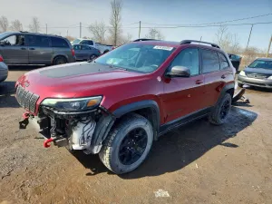 Jeep Cherokee 2.0L 4 2019