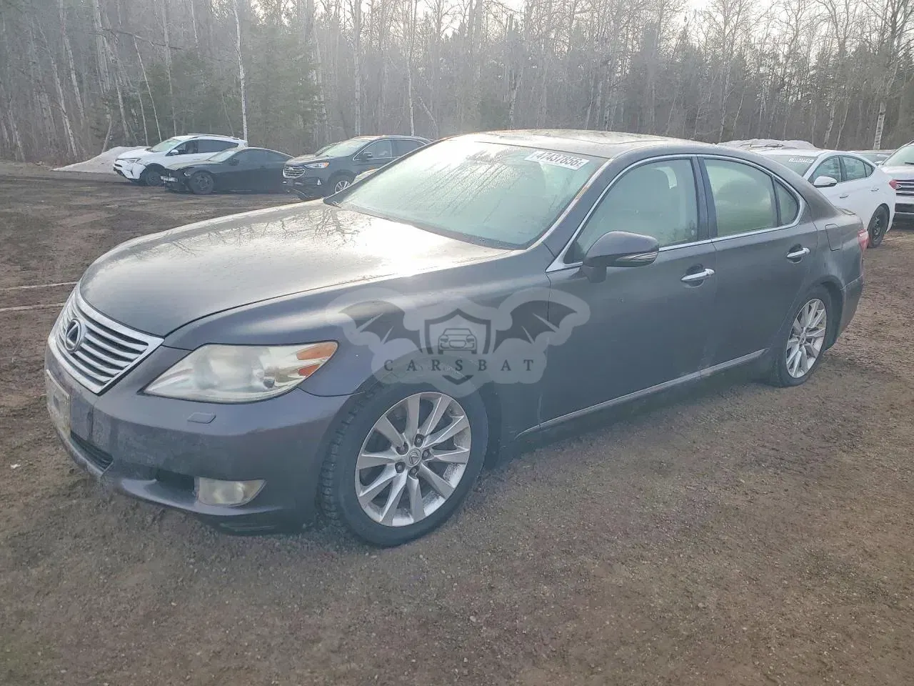 Lexus LS 4.6L 8 2010