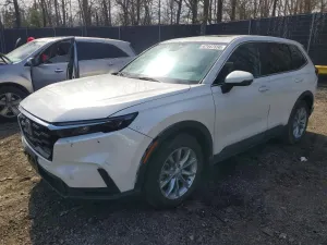 Honda CR-V 1.5L 4 2023