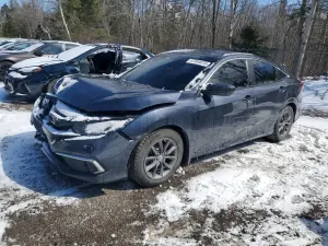 Honda Civic 2.0L 4 2020