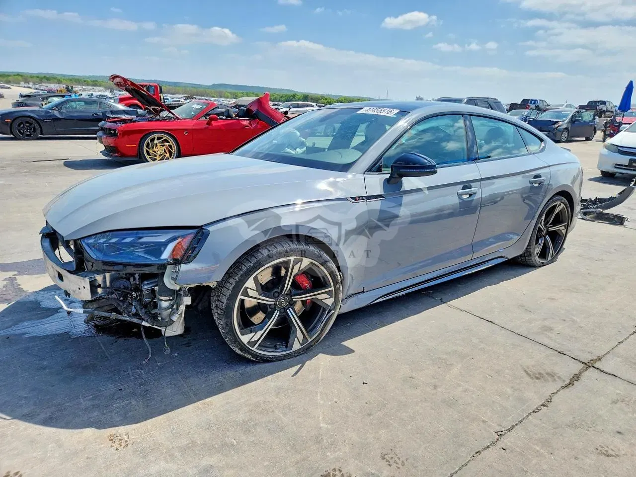 Audi RS5 2.9L 6 2023
