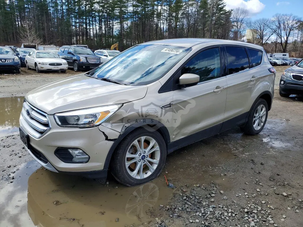 Ford Escape 1.5L 4 2017