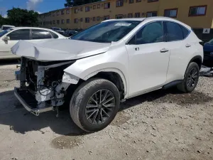 Lexus NX 2.4L 4 2022
