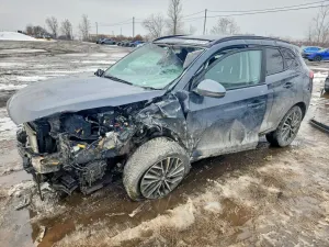 Hyundai Tucson 2.4L 4 2021