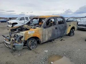Ford F-150 4.6L 8 2009